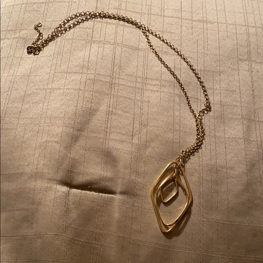 Ann Taylor long chain necklace